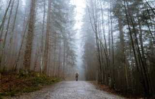 alone-autumn-mood-forest-cold-countryside alone-autumn-mood-forest-cold-countryside