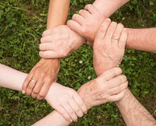 ground-group-growth-hands