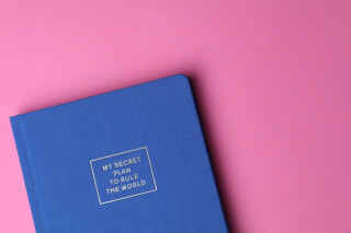 my-secret-plan-to-rule-the-world-book my-secret-plan-to-rule-the-world-book