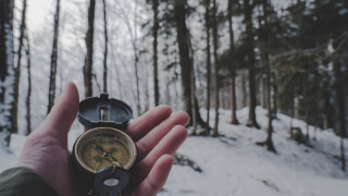 person-holding-compass-in-forest person-holding-compass-in-forest